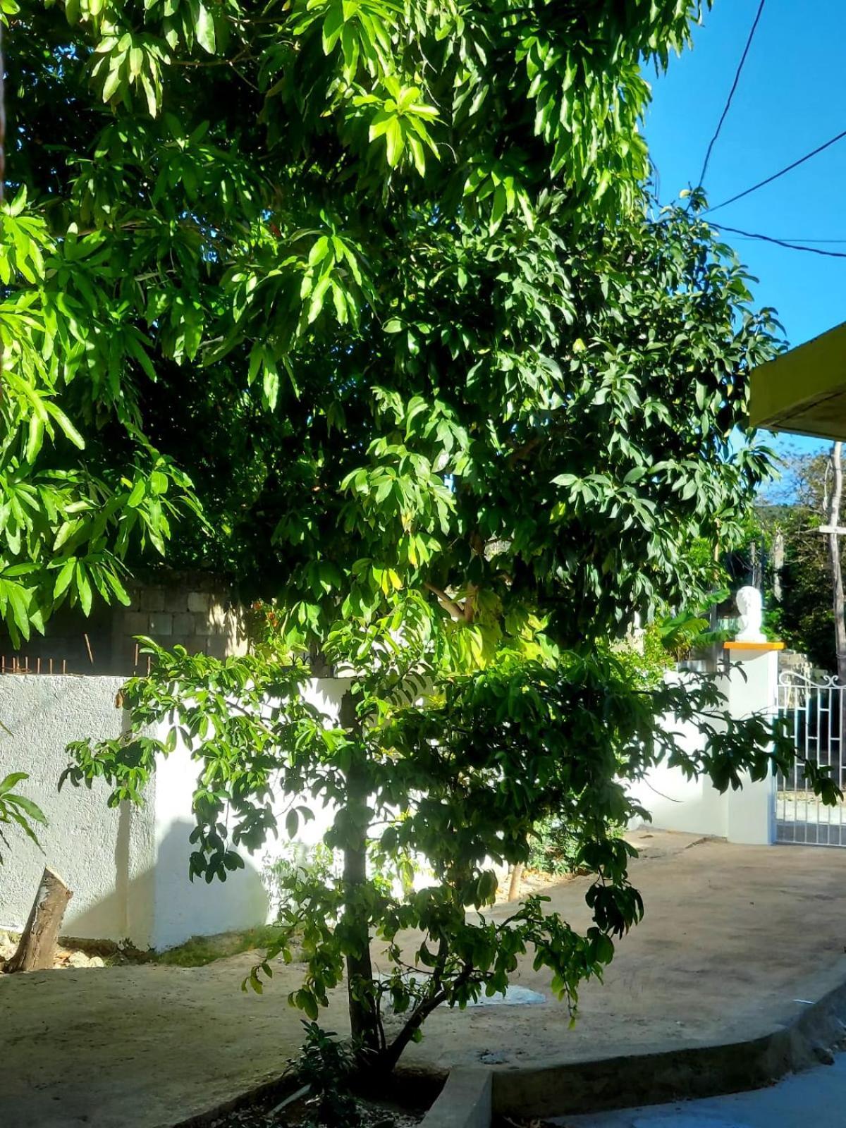 Cas Bed And Breakfast Corral Spring Dış mekan fotoğraf