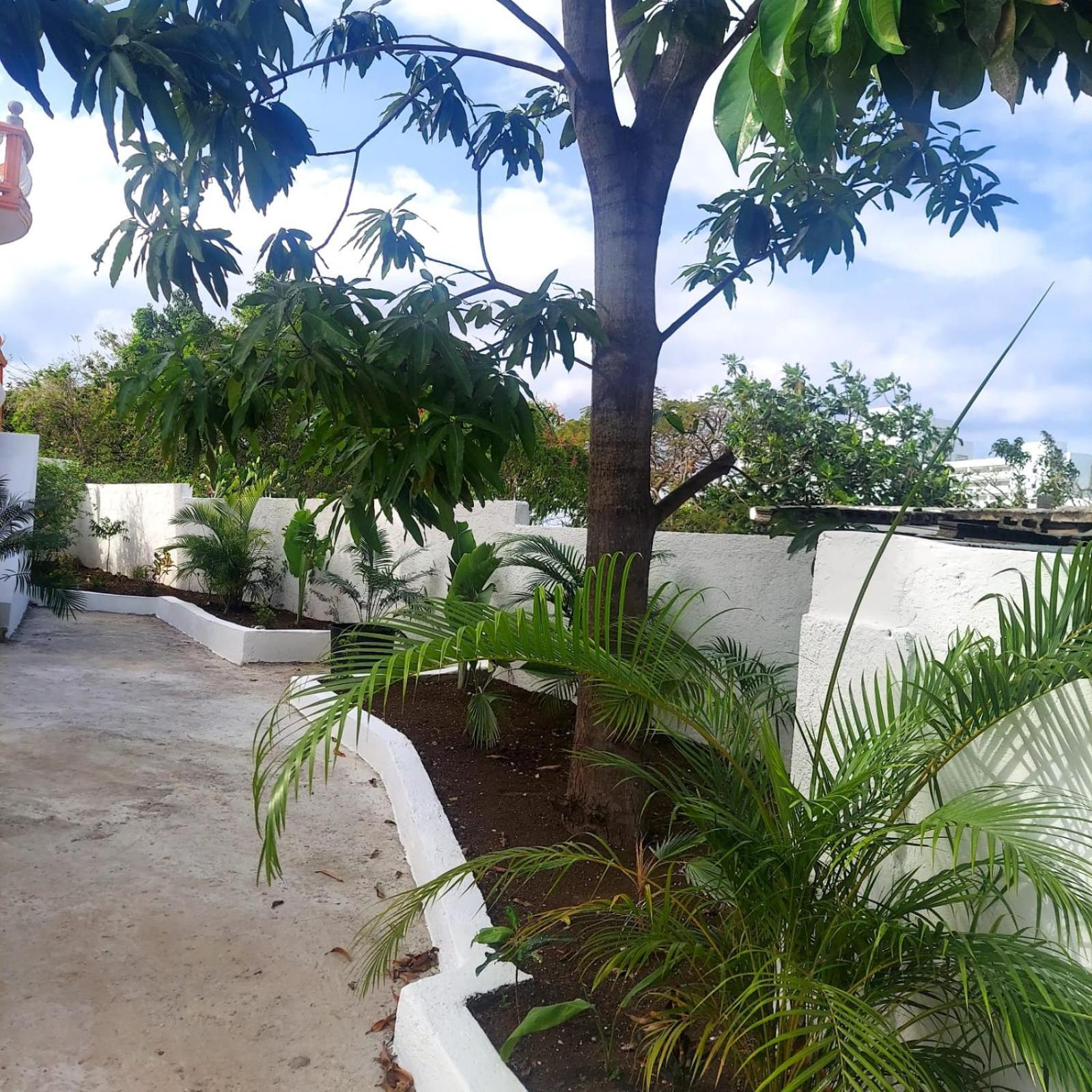 Cas Bed And Breakfast Corral Spring Dış mekan fotoğraf